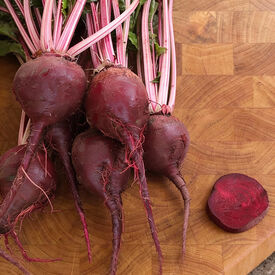 Lutz Green Leaf Pink Stem, Beet Seeds
